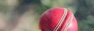 Cricket ball held in hand