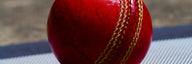 Red leather cricket ball