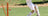 Young batter in cricket spikes