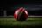 Cricket Balls