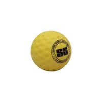 SS Ball - For Bowling Machine Big Dot