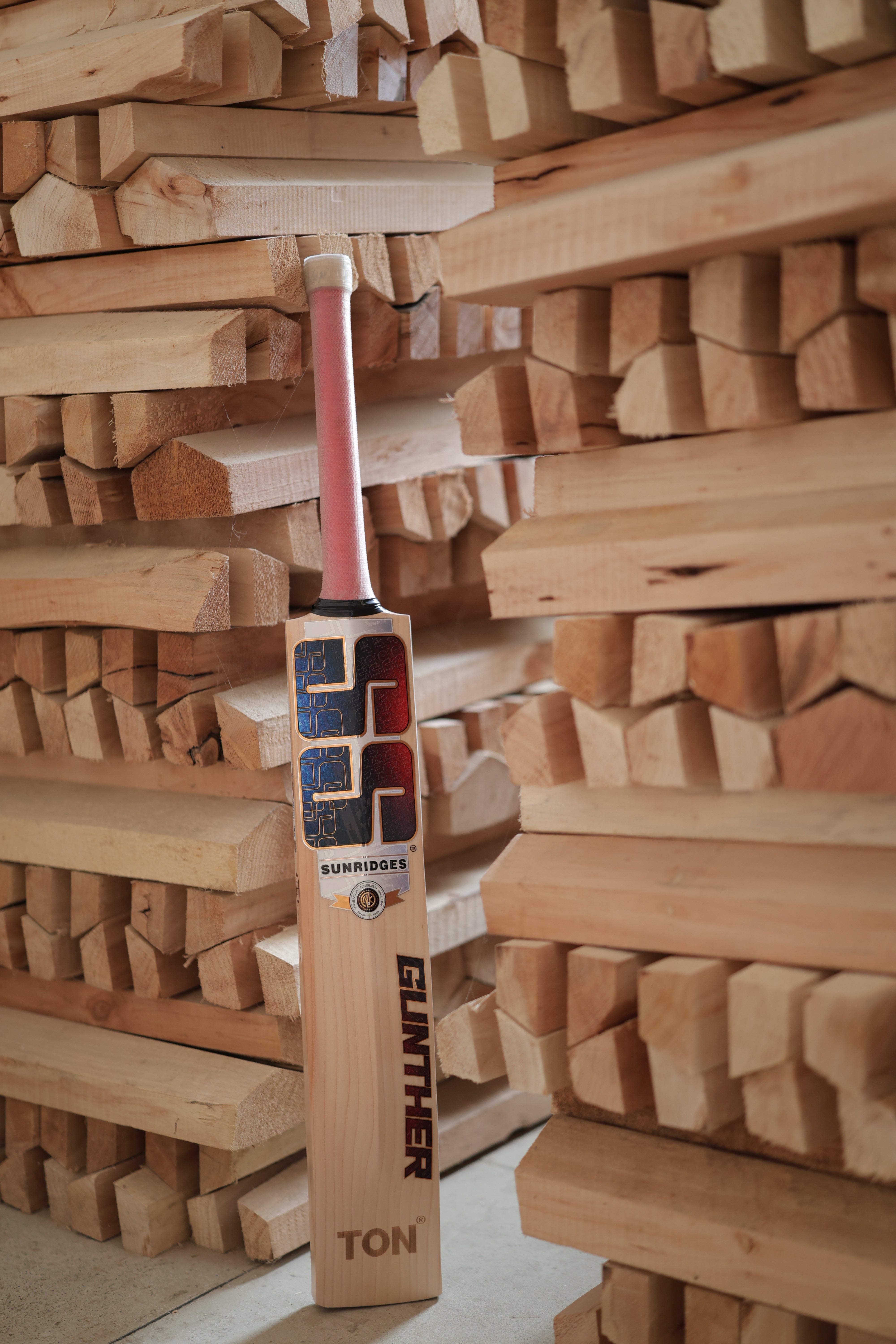 SS TON Gunther English Willow Cricket Bat (Set of 2)