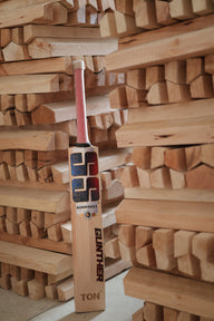 SS TON Gunther English Willow Cricket Bat (Set of 2)