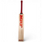 AKS CRICKET MRF Genius Run Machine English willow cricket bat with a red grip and bold MRF branding.