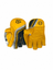 Masuri C-Line Wicket Keeping Gloves - Junior