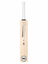 RS ANNIVERSARY EDITION BAT