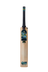 GM AION DXM 404 ACADEMY CRICKET BAT