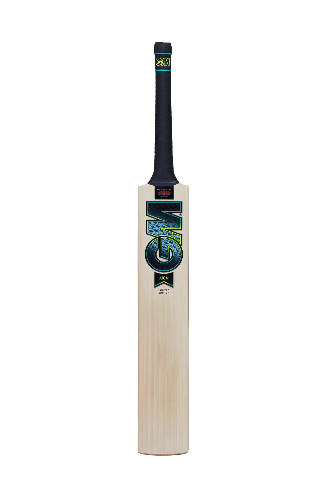 GM AION DXM 404 ACADEMY CRICKET BAT