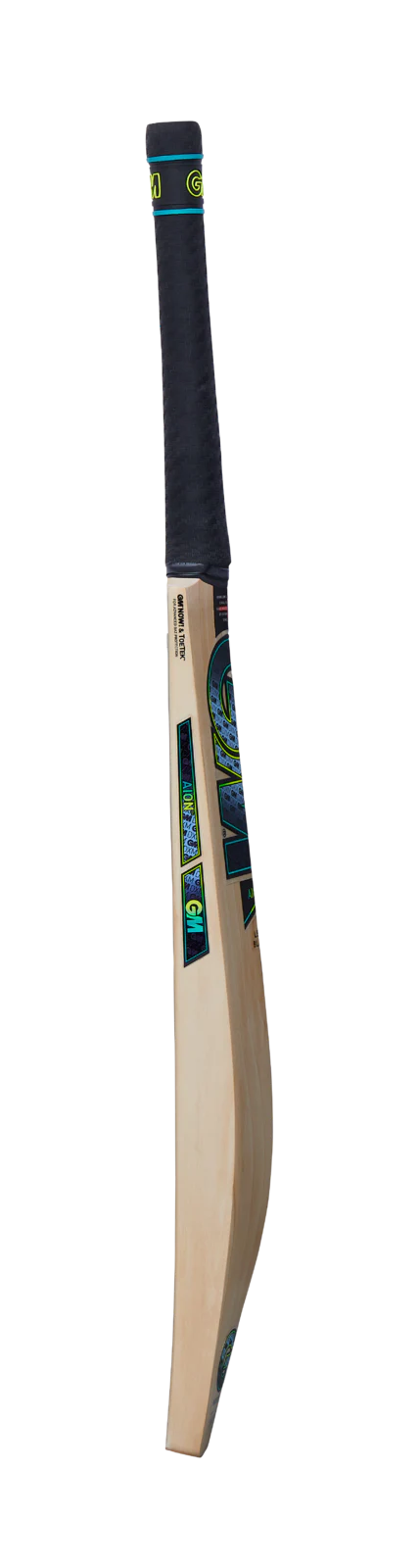 GM AION DXM 404 ACADEMY CRICKET BAT