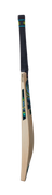GM AION DXM 404 ACADEMY CRICKET BAT
