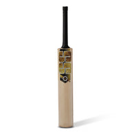 SS TON Premium Gold Kashmir Willow Cricket Bat