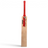 MRF Champ Kashmir Willow Cricket Bat - Junior
