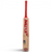 MRF Champ Kashmir Willow Cricket Bat - Junior