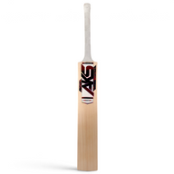 AKS Signature English Willow Bat - Junior