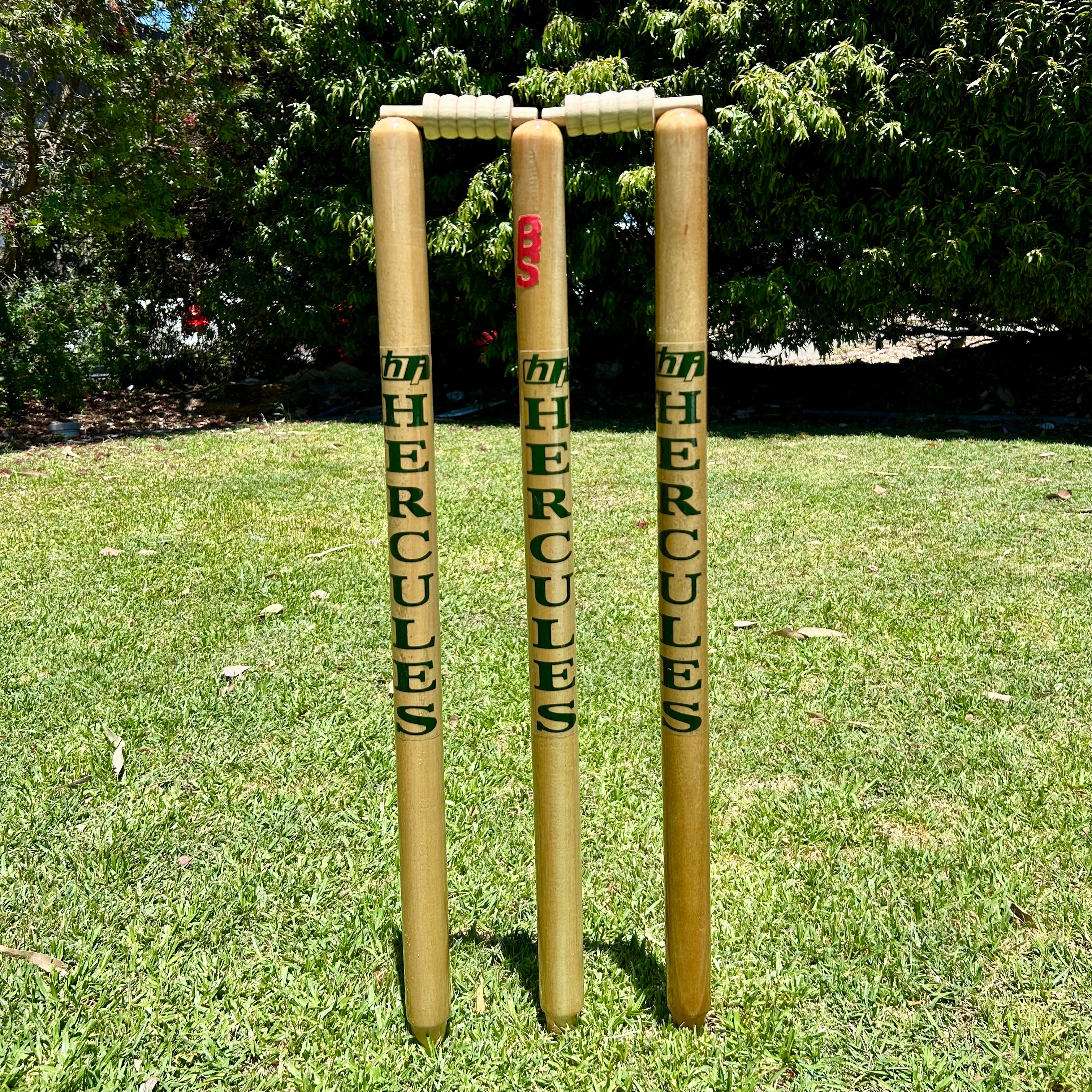 Cricket Stumps MCC Natural Finish