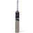SS TON Master-9000 English Willow Cricket Bat