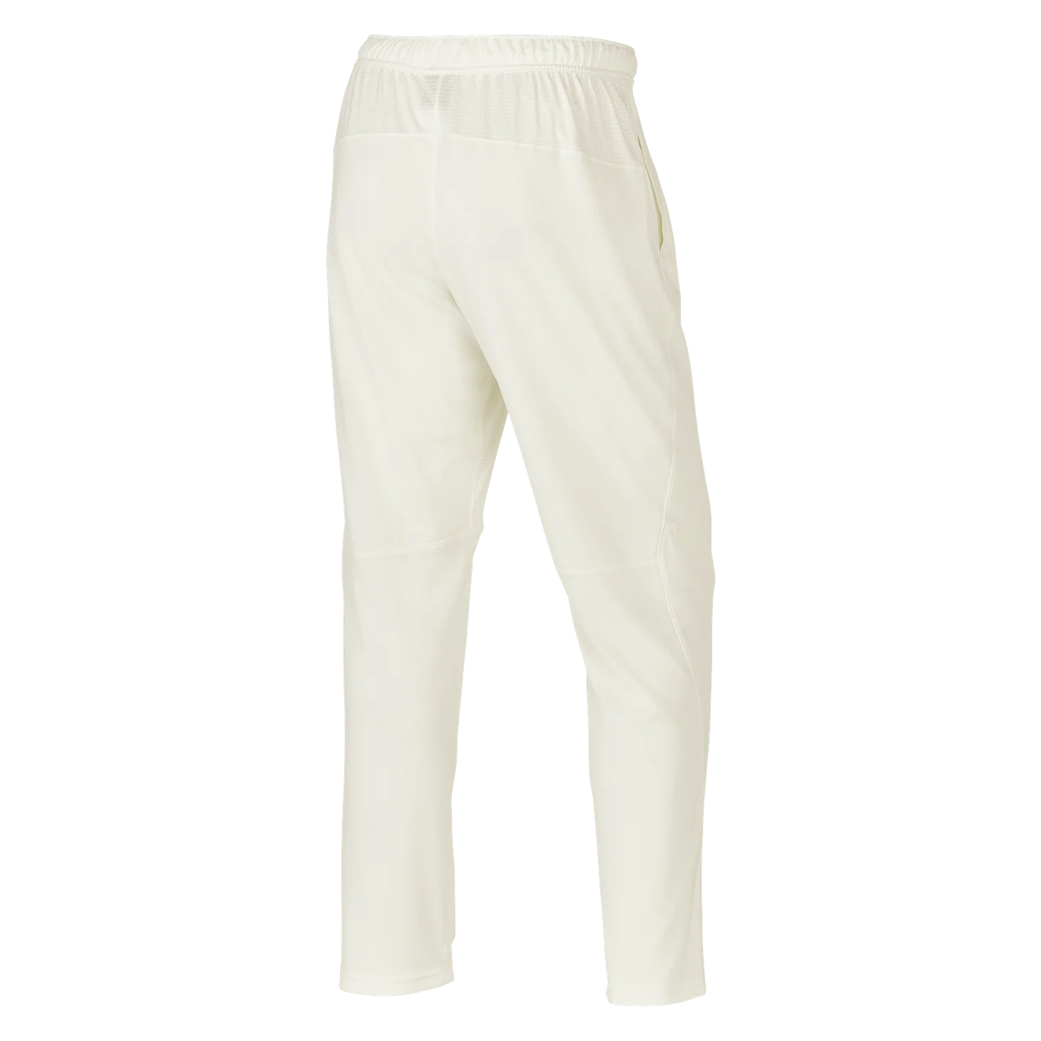 Nike Men's cricket pants