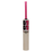 SS TON Gladiator No.6 Kashmir Willow Cricket Bat