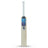 SS TON Super Select English Willow Cricket Bat