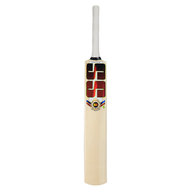SS TON Soft Pro Player Kashmir Willow Cricket Bat