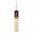 SS TON Soft Pro Player Kashmir Willow Cricket Bat