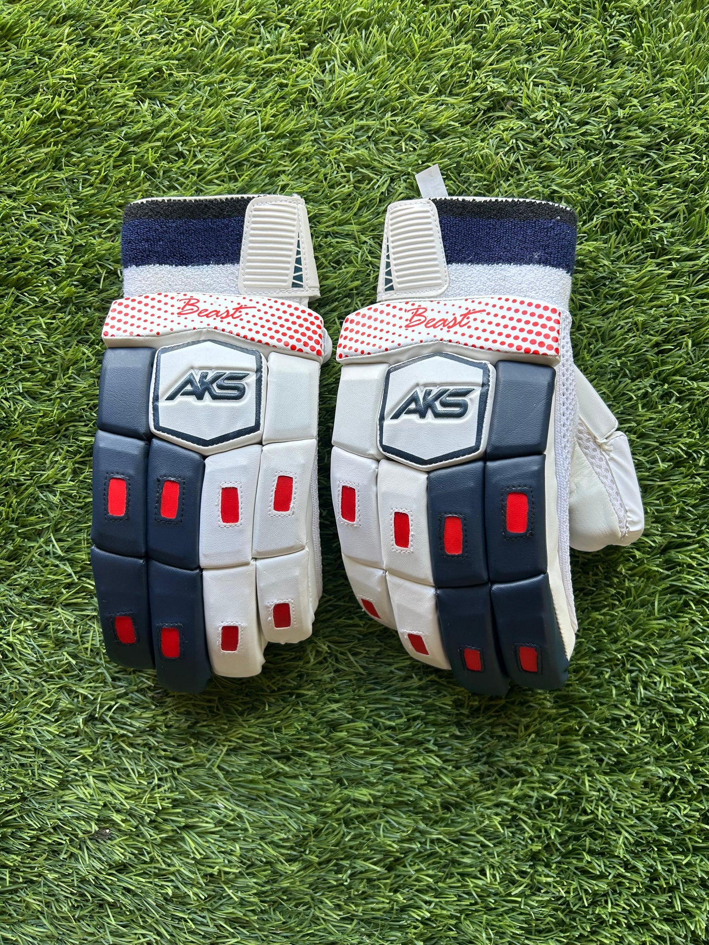 AKS Beast Batting Gloves 25/26