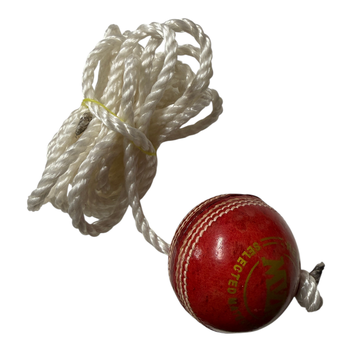 AKS CRICKET Hercules genuine red leather hanging cricket ball with a 5 metre white cord for solo batting practice