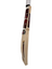 AKS CRICKET SS Vaibhav Suryavanshi Players Edition English willow cricket bat showing side profile and concave edges