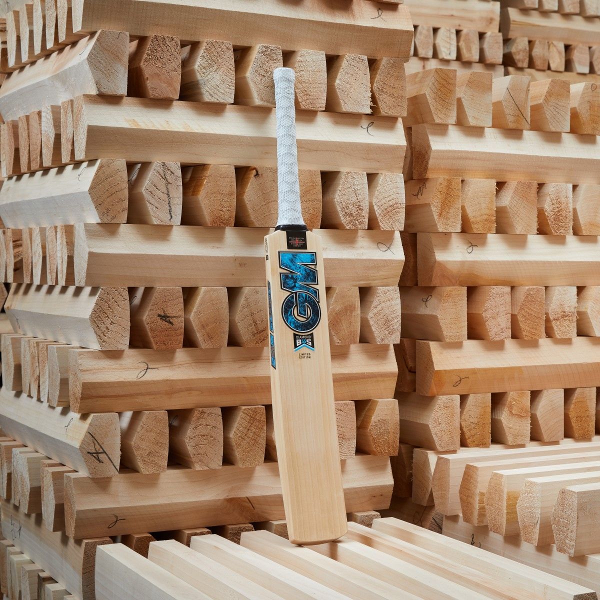 GM DXM SIGNATURE CRICKET BAT