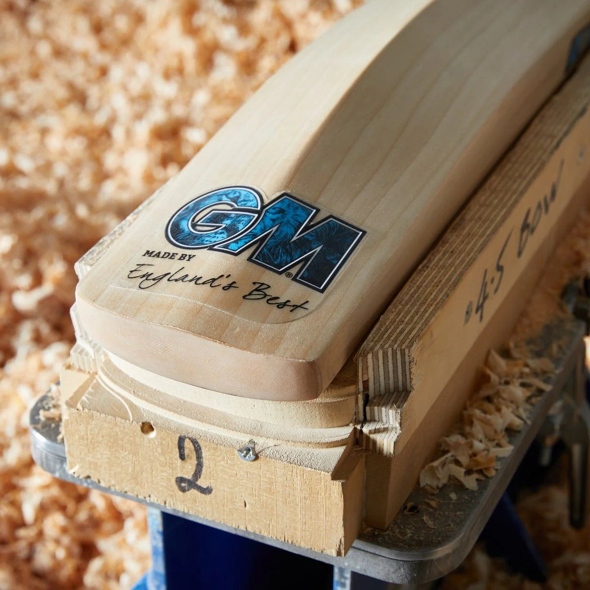 GM DXM SIGNATURE CRICKET BAT