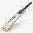 DSC XLite 5.0 English Willow Cricket Bat