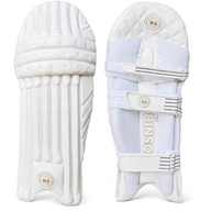 RS Special Edition Batting Legguards