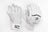 SCC Assassin Pro Batting Gloves